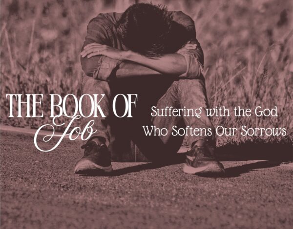 The Gospel According to Job Image